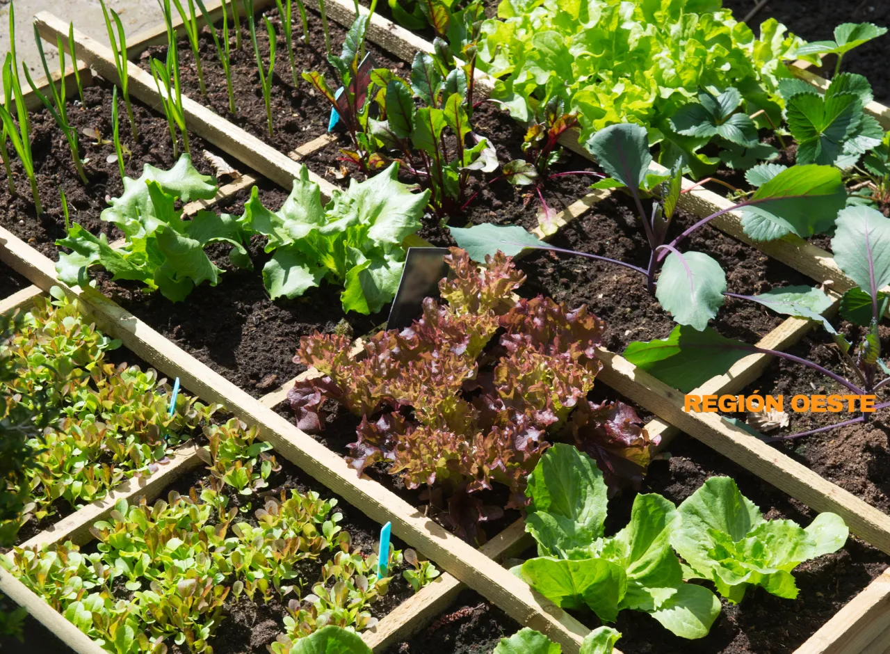 Imagenes Región Oeste